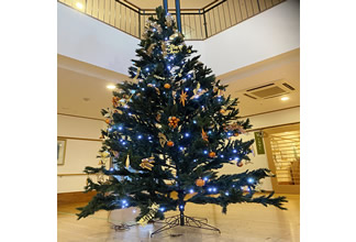 巨大クリスマスツリーの飾り付け！ | 社会福祉法人 常盤福祉会 万葉|